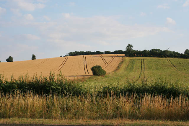 Farmland near Tugby