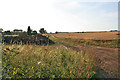 Farmland near Belton-in-Rutland