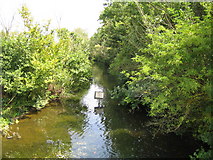 TL2509 : River Lee near Hatfield by Nigel Cox