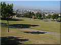 Liverpool from Everton Park