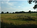 Farmland near Oak Farm