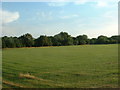 Farmland near Bradbrook farm