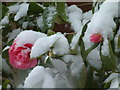 Helsby, Snowfall at Chester Road