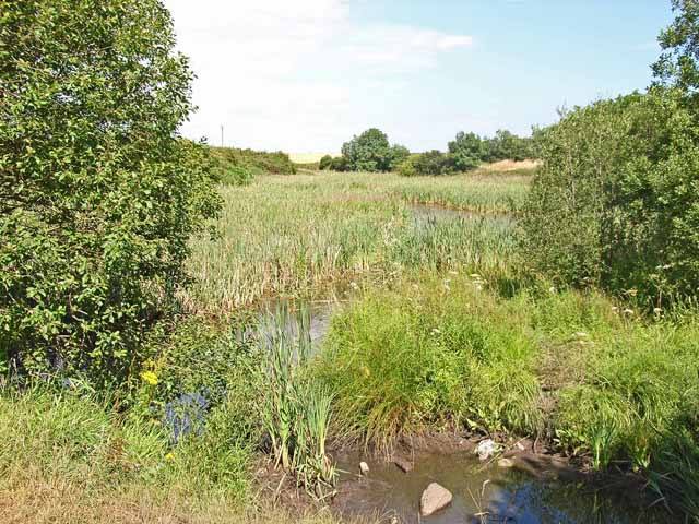 Pond near Benridge, High Hesleden