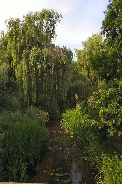 River Black Bourn at Ixworth Mill © Bob Jones cc-by-sa/2.0 :: Geograph ...