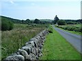 Minor road near Mabie Forest