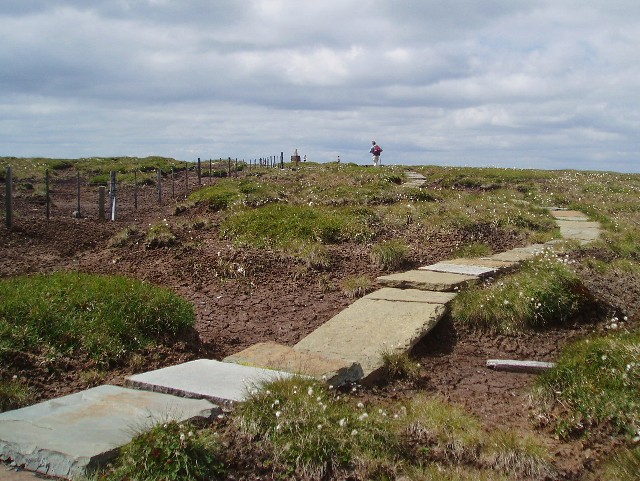 Path crossing summit of The Cheviot