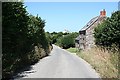 The Road North from Tredinnick