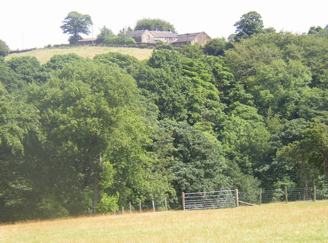 View of Jaque Royd from Bridle Stile, Shelf