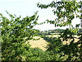 High Oaks from Forest Heights