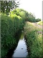 A Tributary Of The River Foss