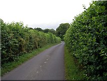 SU5946 : Farleigh Lane, east of Dummer by Peter Jordan