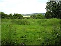 Legaghory Townland