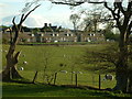 Whitton Cottages