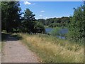 Mill Green Park, Cannock