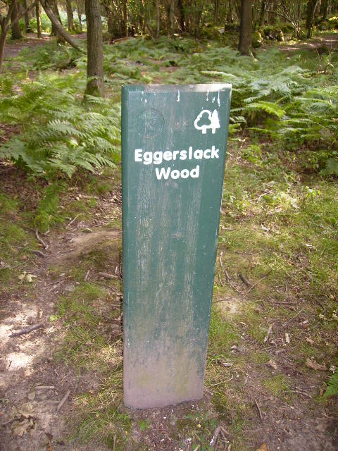 Signpost in Eggerslack Wood