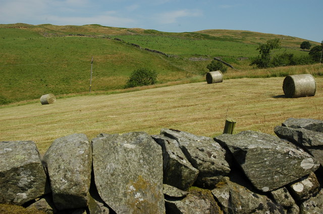 Hayrolls on farmland near Moniaive
