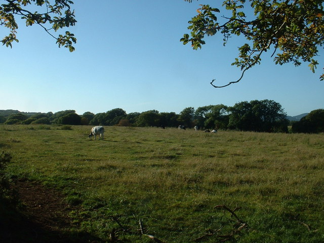 Farmland near Wern Fawr