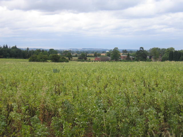 View towards Whitacre Hall