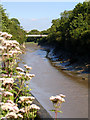 River Avon (New Cut) looking up river