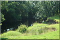 Bank of Cairn Water near Crossford