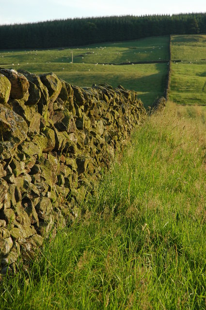 Wall stretching up to woodland.