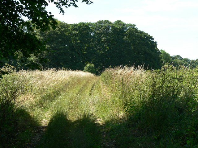 The Centenary Way © Roger Gilbertson Geograph Britain And Ireland