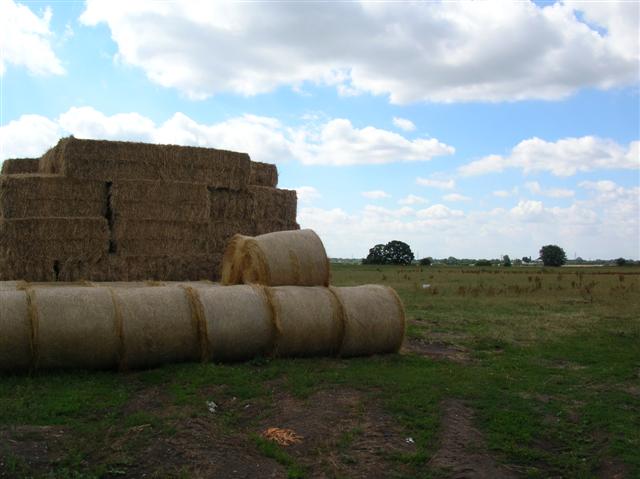 Hay stack - Yapham Farm