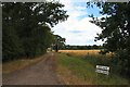 Track to Fen Farm