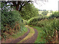 Cefnyspin Lane, Near Welshpool