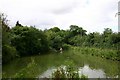 Duck pond at Walnut Tree Farm, Baylham