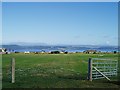 View NW over the Moray Firth from Westhill near Inverness