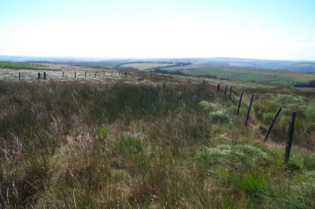 Abandoned field on Hoar Moor