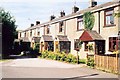 Cottages in Red Lumb