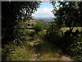 View east from track on Graig Syfyrddin