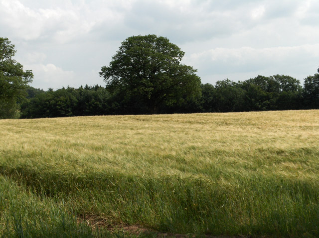 Farmland between Gaitsgill and Dalston