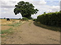 Footpath and Bridleway