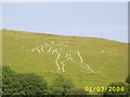 The Cerne Abbas Giant