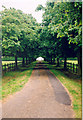 Driveway to and from Tannington Hall, Nr. Framlingham, Suffolk