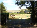 Farm Gate beside the A493