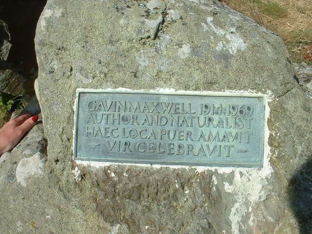 Maxwell's plaque