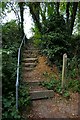 TQ7849 : Greensand Steps by Glyn Baker