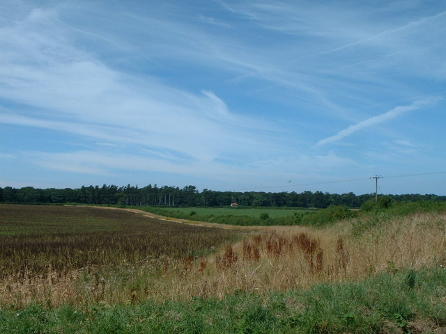 View towards New Holkham, Norfolk.