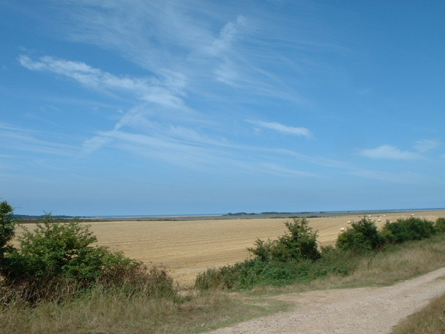 View towards the North Sea, near Wells, Norfolk.
