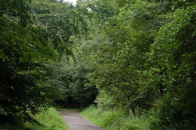 Cairn Wood, Craigantlet