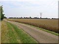 Wheatfields, Sempringham, Lincs