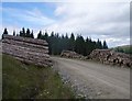 Timber stacks