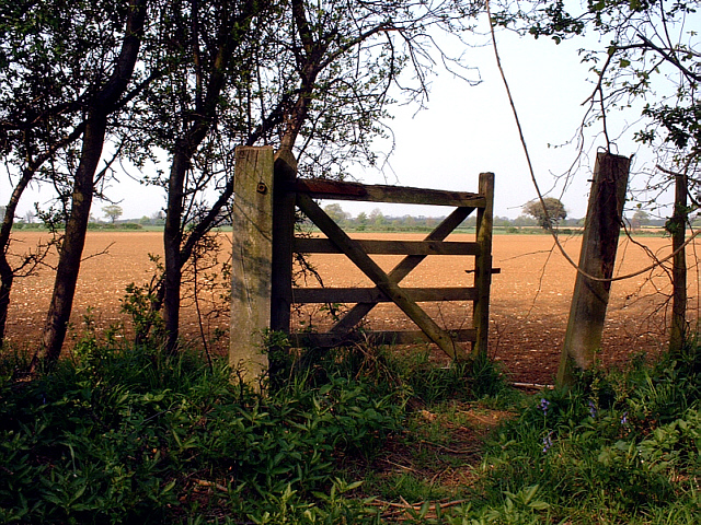 Old gate in Castor Hanglands NNR