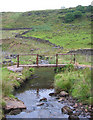 Footbridge over Black Brook