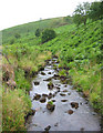 Black Brook in narrow valley